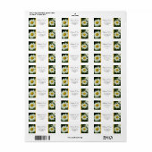 joli étiquette de adresse blanc marguerite (Feuille entière)