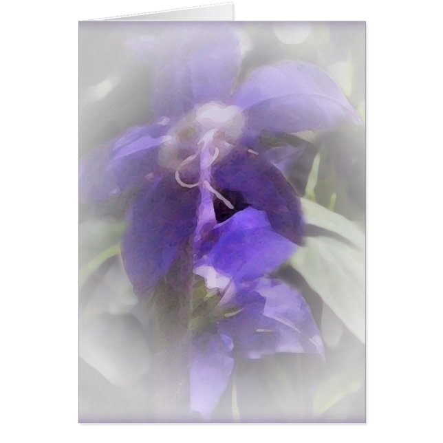 Joli floral - 2 (Devant)