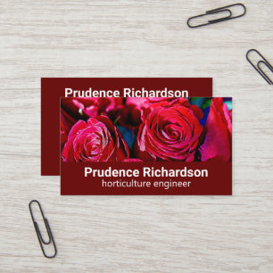 Joli Groupe De Carte de visite Roses Rouges