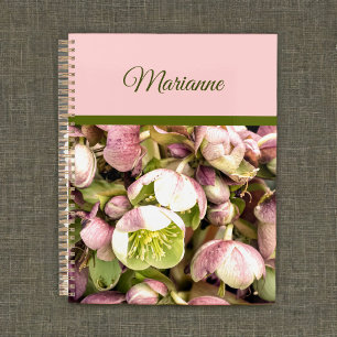 Joli Hellebore rose et olive personnalisé