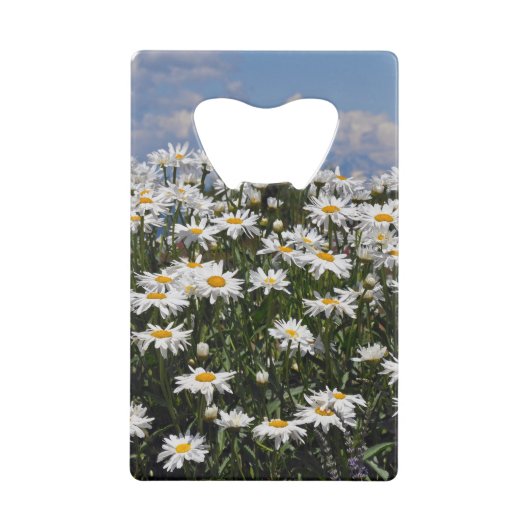 Joli jardin blanc (Devant)