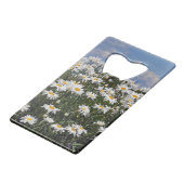 Joli jardin blanc (Devant Angle)