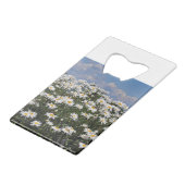 Joli jardin blanc (Dos Angle)