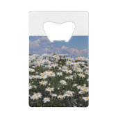 Joli jardin blanc (Dos)