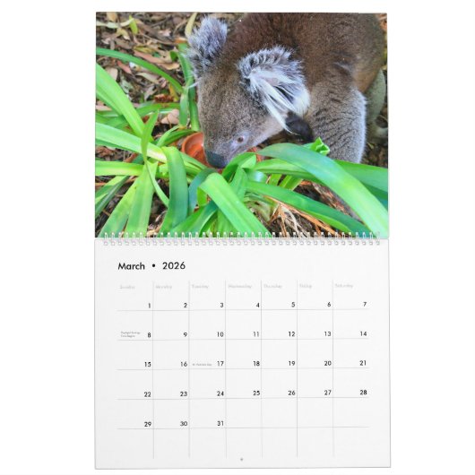 Joli Koala Calendrier 2026 (Mar 2026)