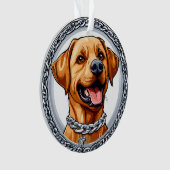 Joli labrador jaune (devant)