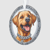 Joli labrador jaune (devant)