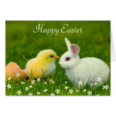 Joli lapin de Pâques & poussin avec des fleurs (Devant horizontal)