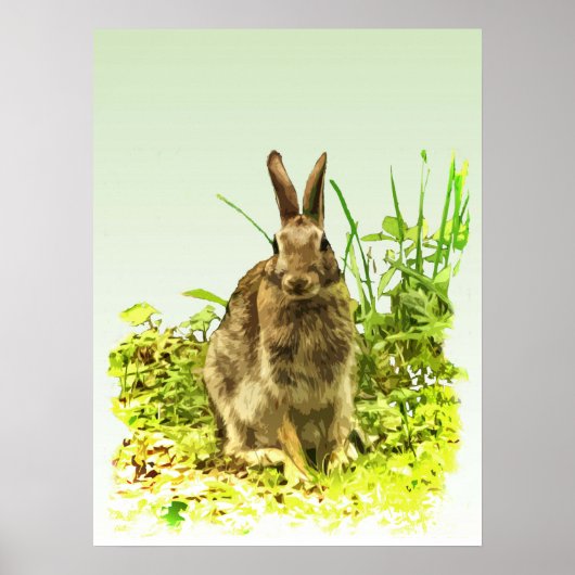 Joli lapin lapin Brown en herbe verte Poster (Devant)