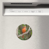 Joli Magnet d'oiseaux cardinaux du Nord (In Situ (Lave-vaisselle))