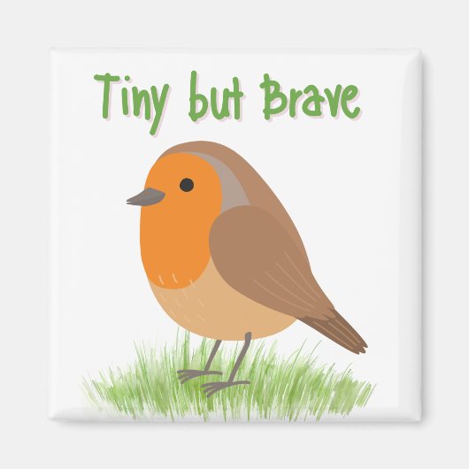 Joli Magnet Oiseau Robin (Devant)