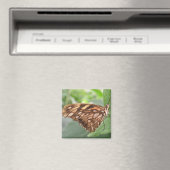 Joli Magnet papillon Brown (In Situ (Lave-vaisselle))