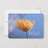 Joli mariage de fleur de pavot jaune sauvage carte (Dos)