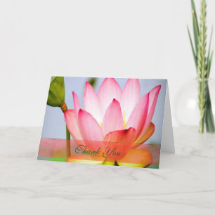 Joli Merci rose Lotus Flower