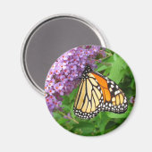 Joli monarque ~ aimant (Recto/Verso)