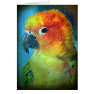 Joli oiseau