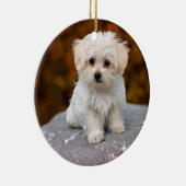 Joli ornement de chiot de Noël (Droite)