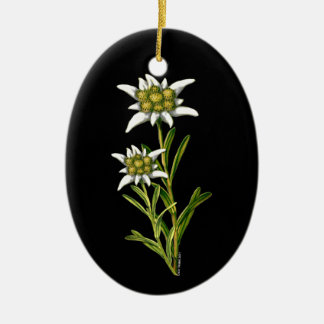 Joli ornement Edelweiss