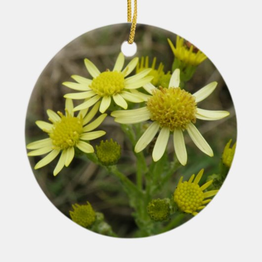 Joli ornement Fleur sauvage Jaune (Devant)
