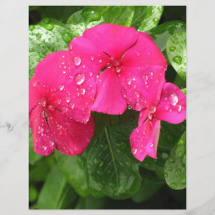 Joli papier scrapbooking de fleurs roses de printe