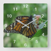 Joli papillon monarque et horloge murale à fleurs (Recto)