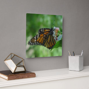 Joli papillon monarque horloge murale carrée