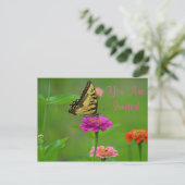 Joli Papillon Sur Invitation Zinnia (Debout devant)