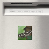 Joli papillon Zebra Longwing Magnet (In Situ (Lave-vaisselle))