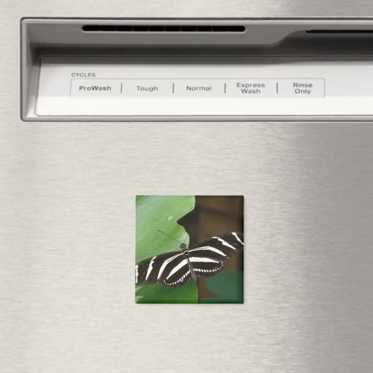 Joli papillon Zebra Longwing Magnet (In Situ (Lave-vaisselle))