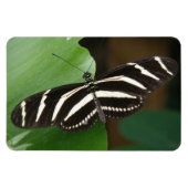 Joli Papillon Zèbre Longwing Flexi Magnet (Horizontal)