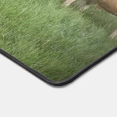 Joli Pastel Charolais Cattle in Pastel (Coin)