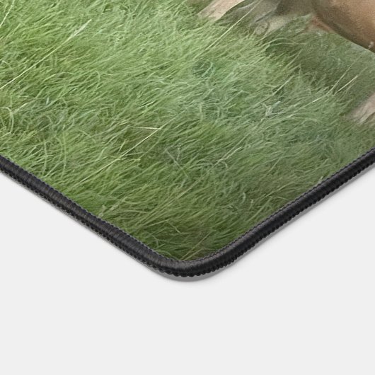 Joli Pastel Charolais Cattle in Pastel (Coin)