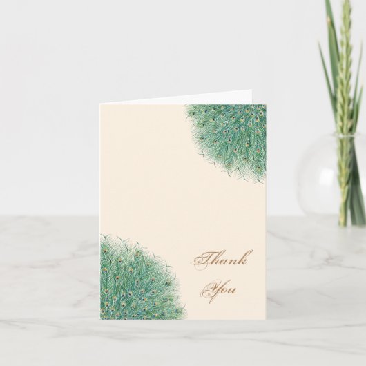 Joli Peacock Plumes Merci (Devant)