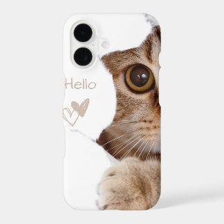 joli petit chat , bonjour coeur blanc