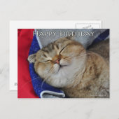 Joli plat écossais nouilles drôle chat carte d'ann (Devant / Derrière)