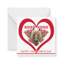 Joli Poney sur Cartes de la Saint-Valentin en Roug