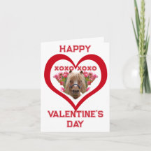 Joli Poney sur Cartes de la Saint-Valentin en Roug