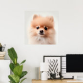 Joli poster de portrait de chiot Pomeranian (2) (Bureau à domicile)