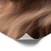 Joli poster de portrait de chiot Shih Tzu (Coin)