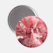 Joli Pretty Rose Poppy Magnet (Recto/Verso)