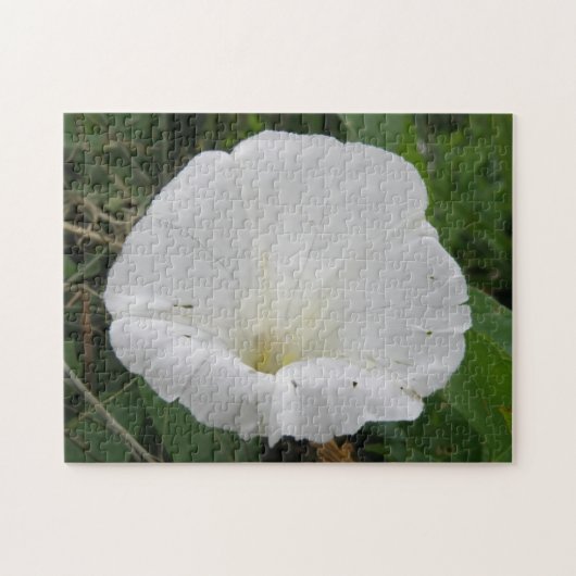 Joli Puzzle blanc Convolvulus Flower (Horizontal)