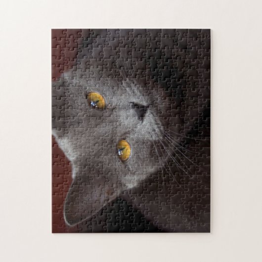Joli puzzle Chartreux (Vertical)