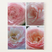 Joli Rose (Dos)