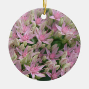 Joli rose Fleurs Tropicales Ornements