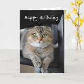 joli scottish berceau nouilles chat joyeux carte d (Fleur jaune)