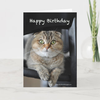 joli scottish berceau nouilles chat joyeux carte d