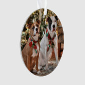 Joli Secourt de Noël Pitbull et America Bull Dog (devant)