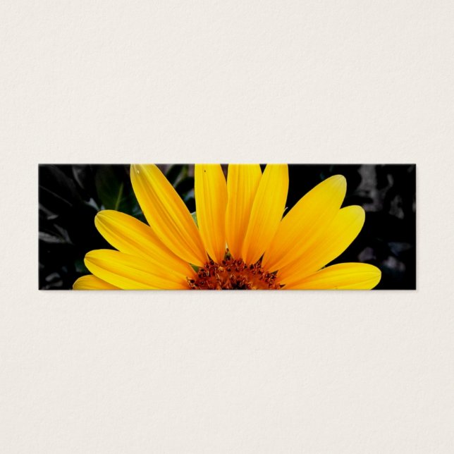 Joli Signet de tournesol (Devant)