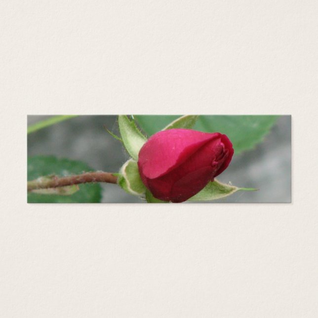 Joli Signet Rose (Devant)