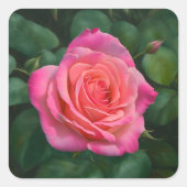 Joli Sticker Rose Art (Devant)